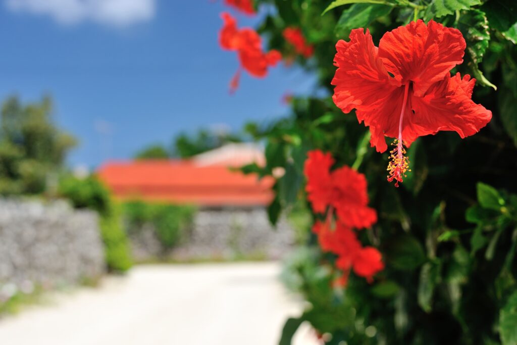 RJホテル｜沖縄県那覇市で選ばれるビジネスホテル 連泊に最適な理由